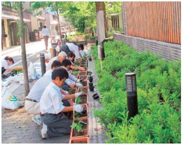 ゴーヤの植付け