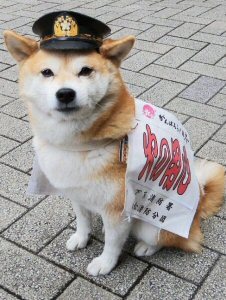 分団画像