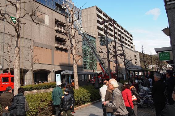 訓練を見学する皆さん