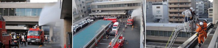訓練画像