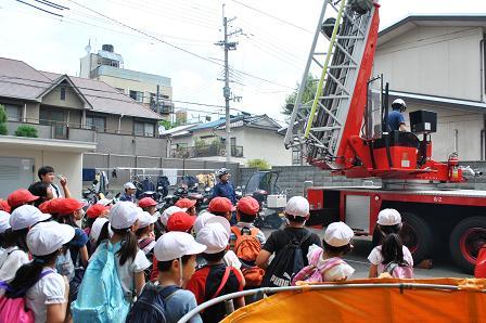 大型はしご車訓練見学