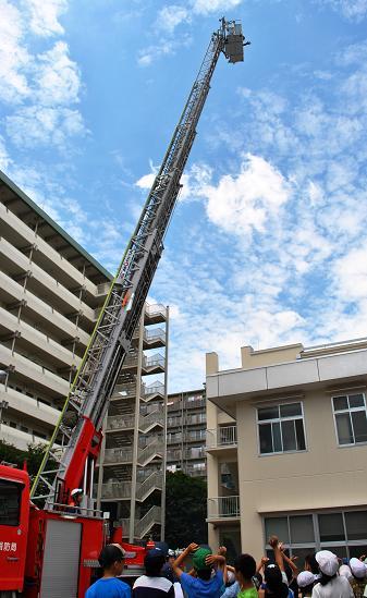 大型はしご車の訓練見学