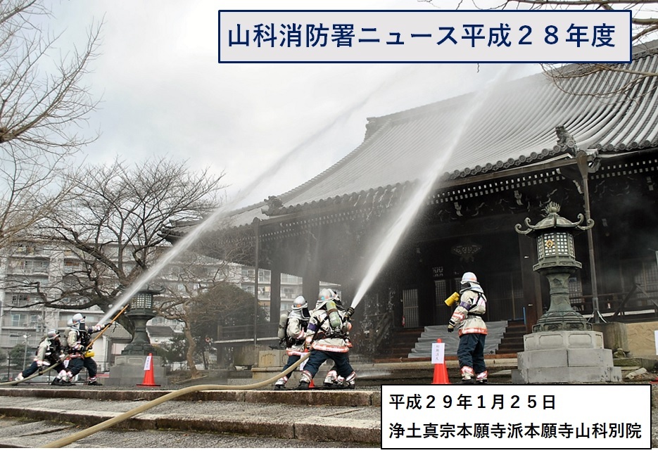 ニュースのタイトル