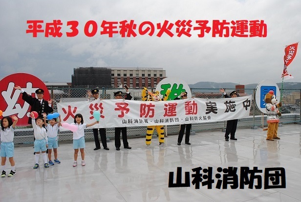 トップ画像
