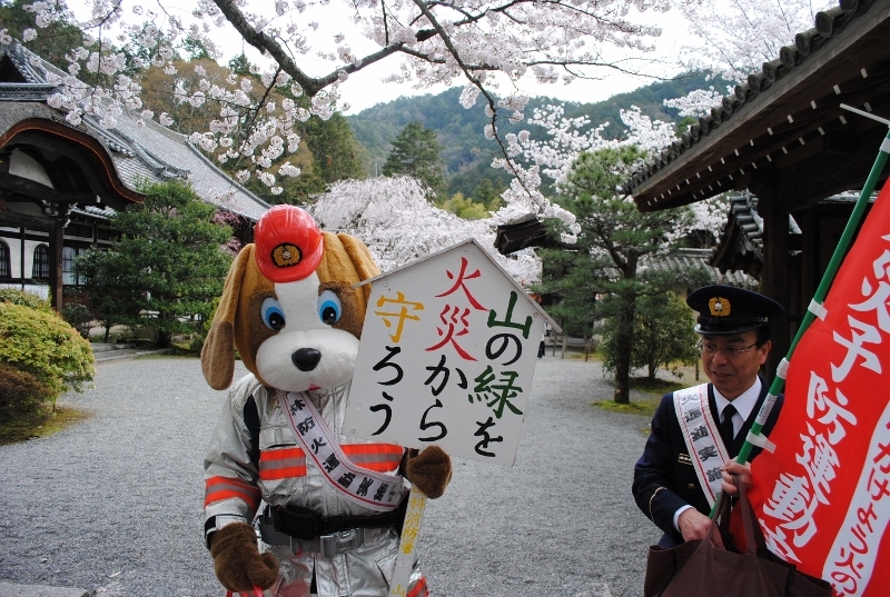 毘沙門堂