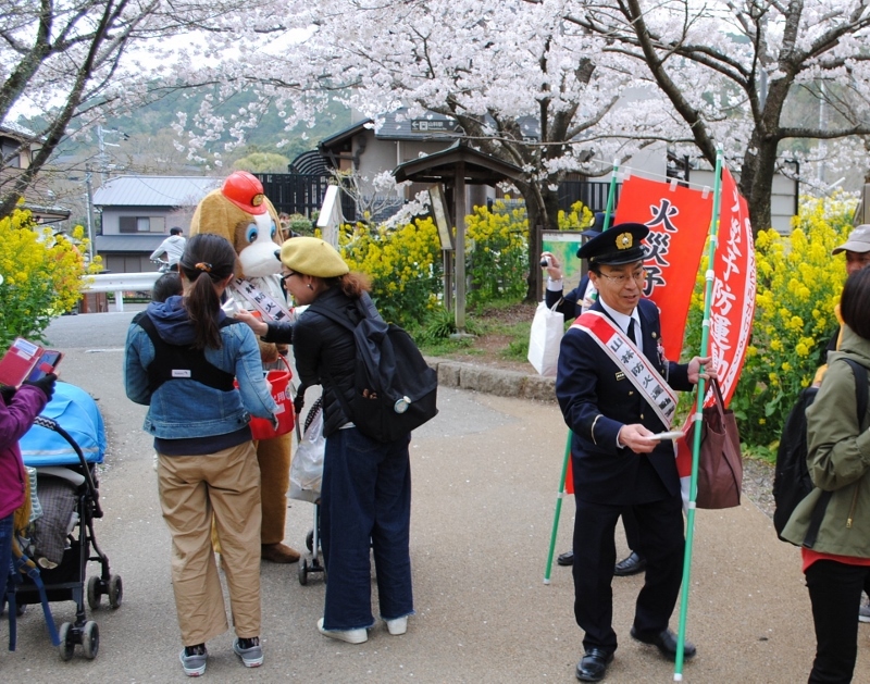 遊歩道にて
