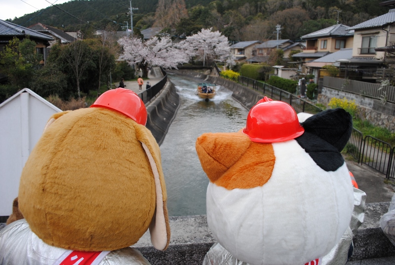 遊覧船がやって来た！