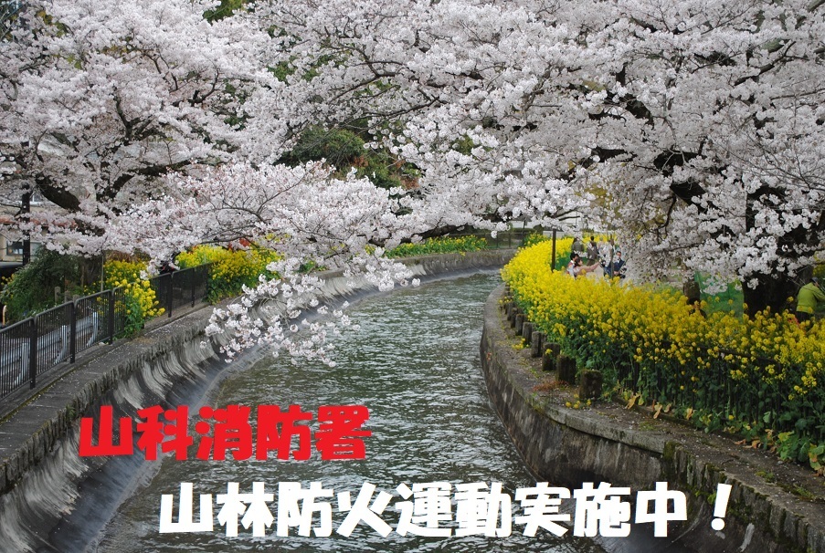 トップ画像