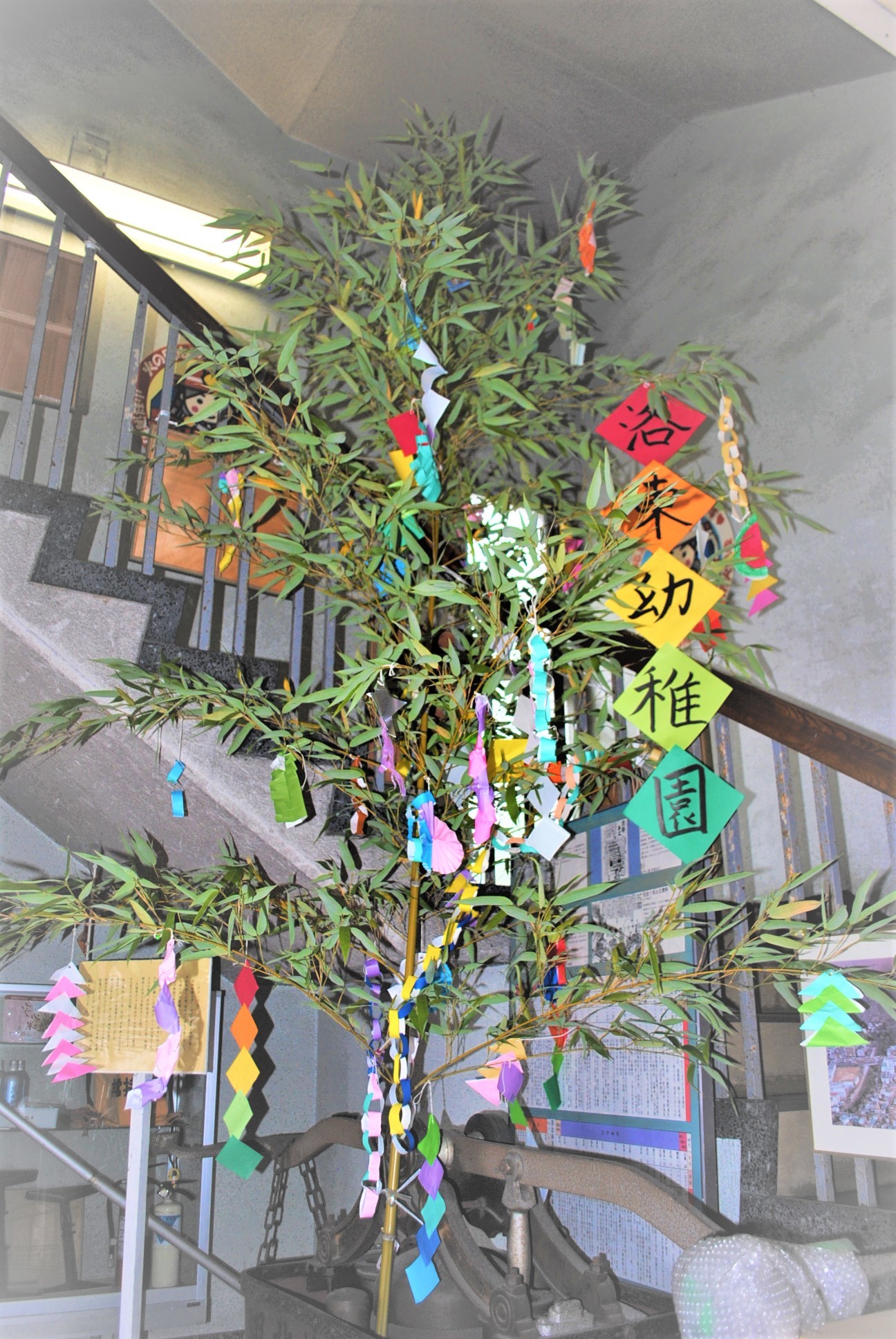 京都市消防局 七夕の笹飾りを頂きました