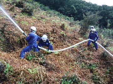 放水放水