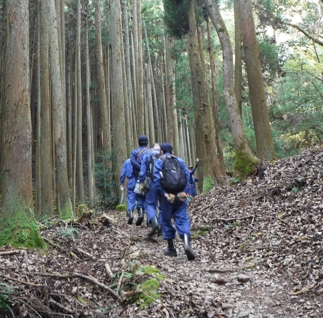 入山開始