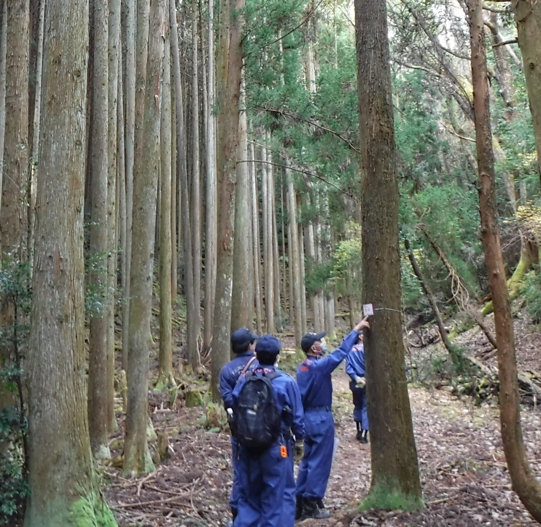 通報ポイントを確認