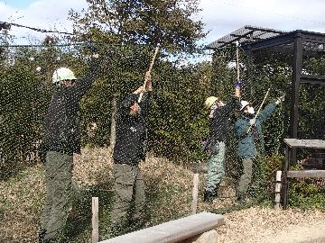 遮断網の設置
