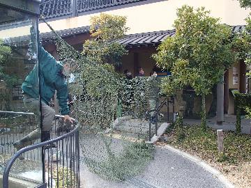 遮断網の設置