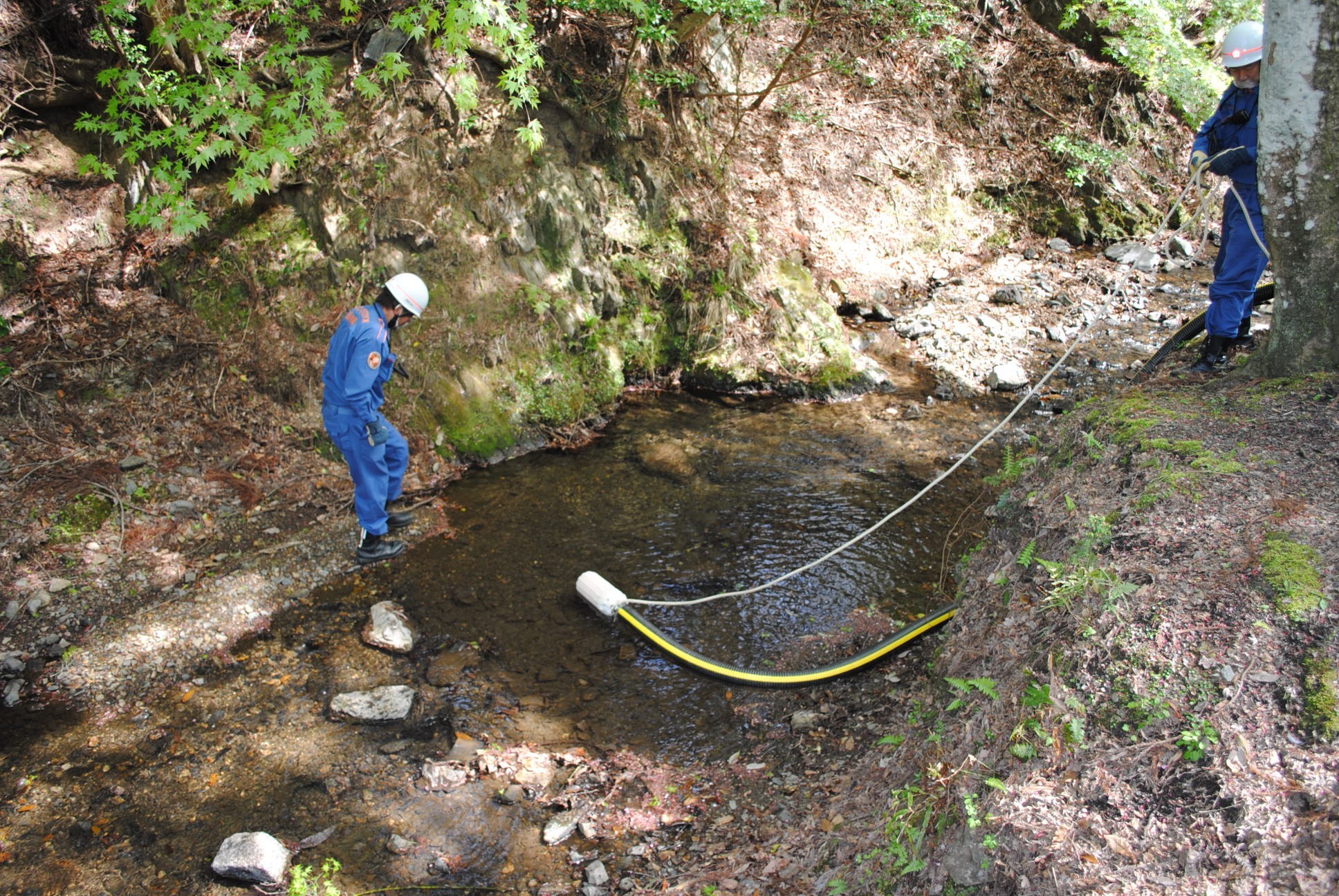 川底から吸水します。