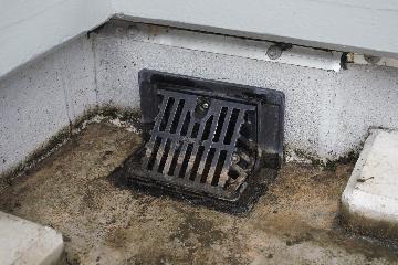 掃除後の排水口