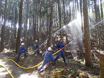 放水