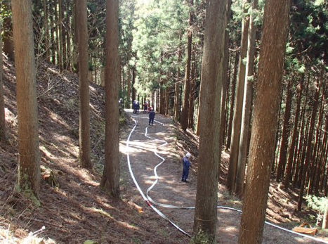 山林内に延長されたホースライン
