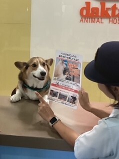 ペットの犬にお願いしている様子