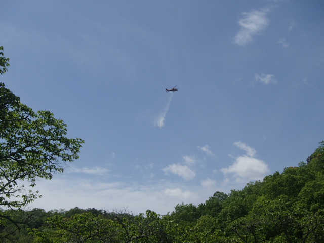 空中消火の様子