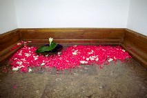 京都デイ写真4
