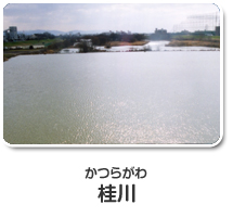 桂川