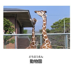 動物園