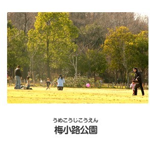 梅小路公園