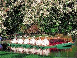 ボストン写真2