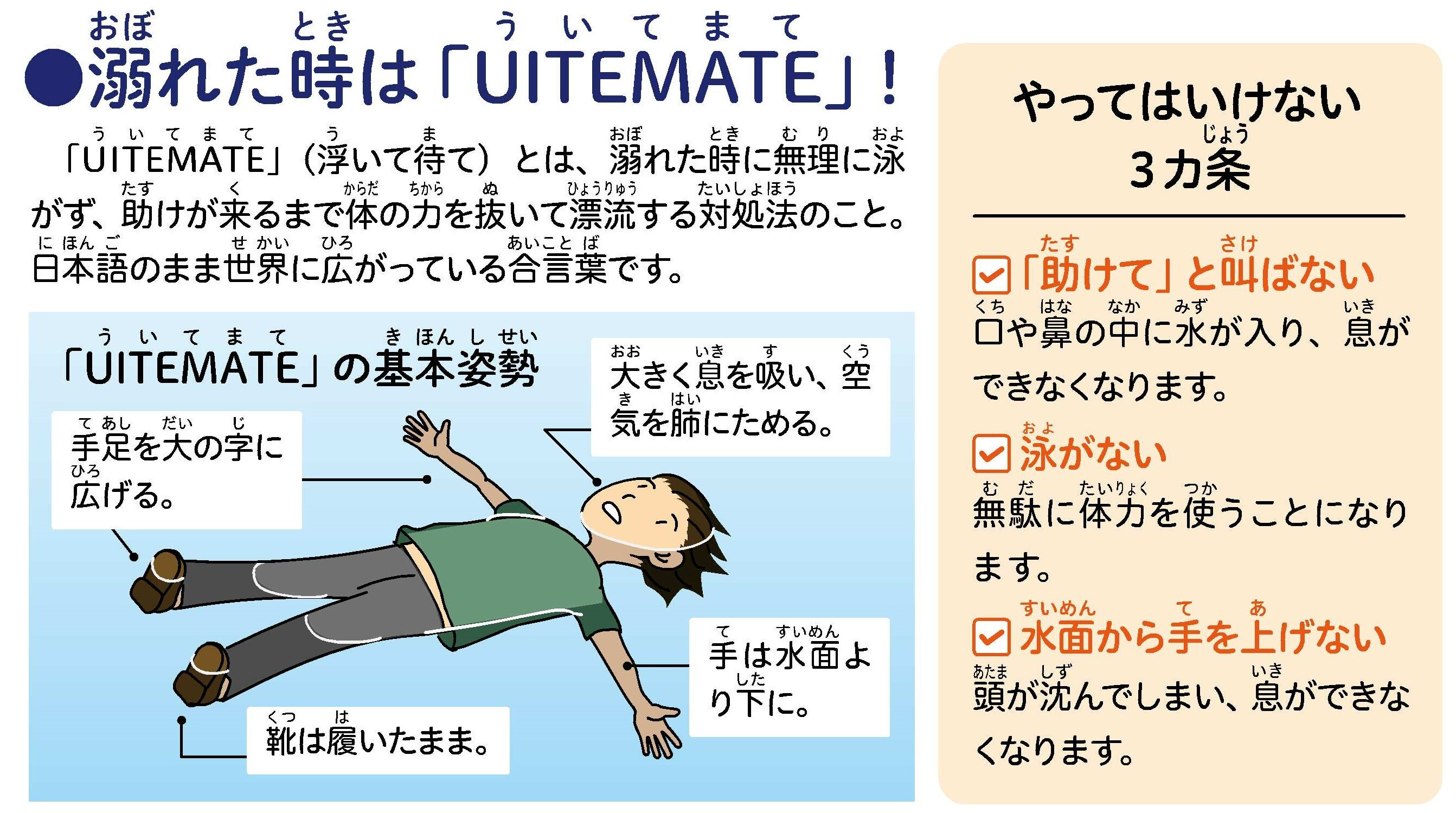図解と補足説明の画像