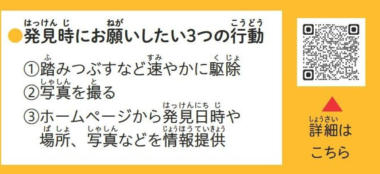 クビアカツヤカミキリを見つけたら