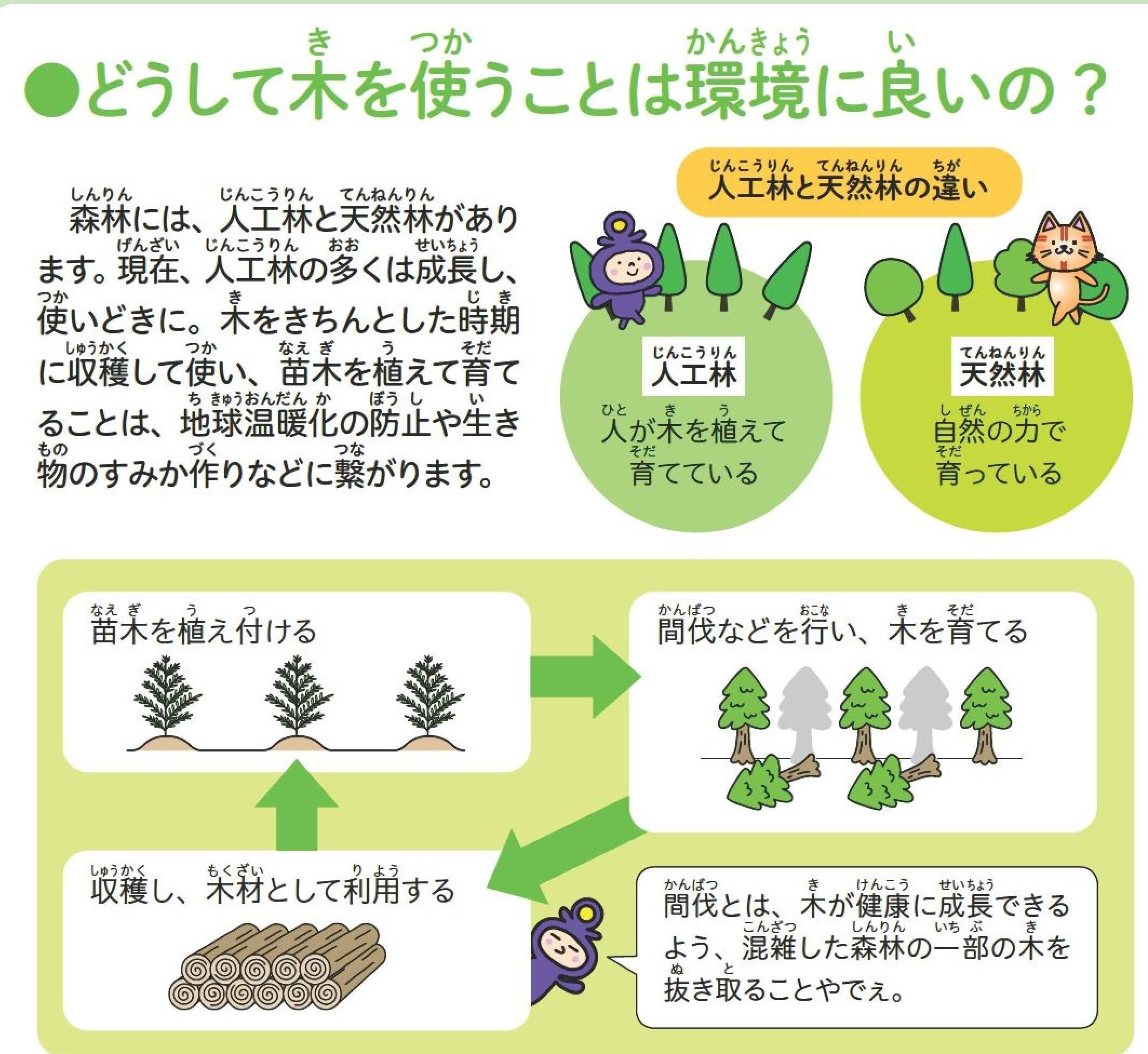 どうして木を使うことは環境に良いの？