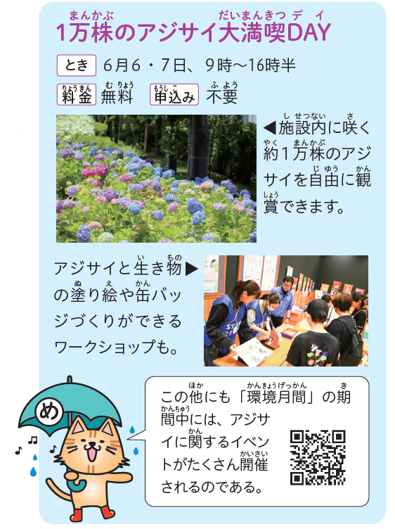 1万株のアジサイ
