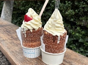トルデルニークの画像です。
