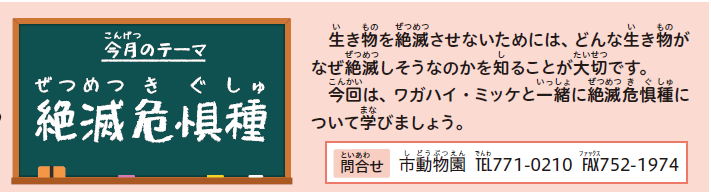 今月のテーマ　絶滅危惧種