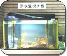 金魚による生物監視