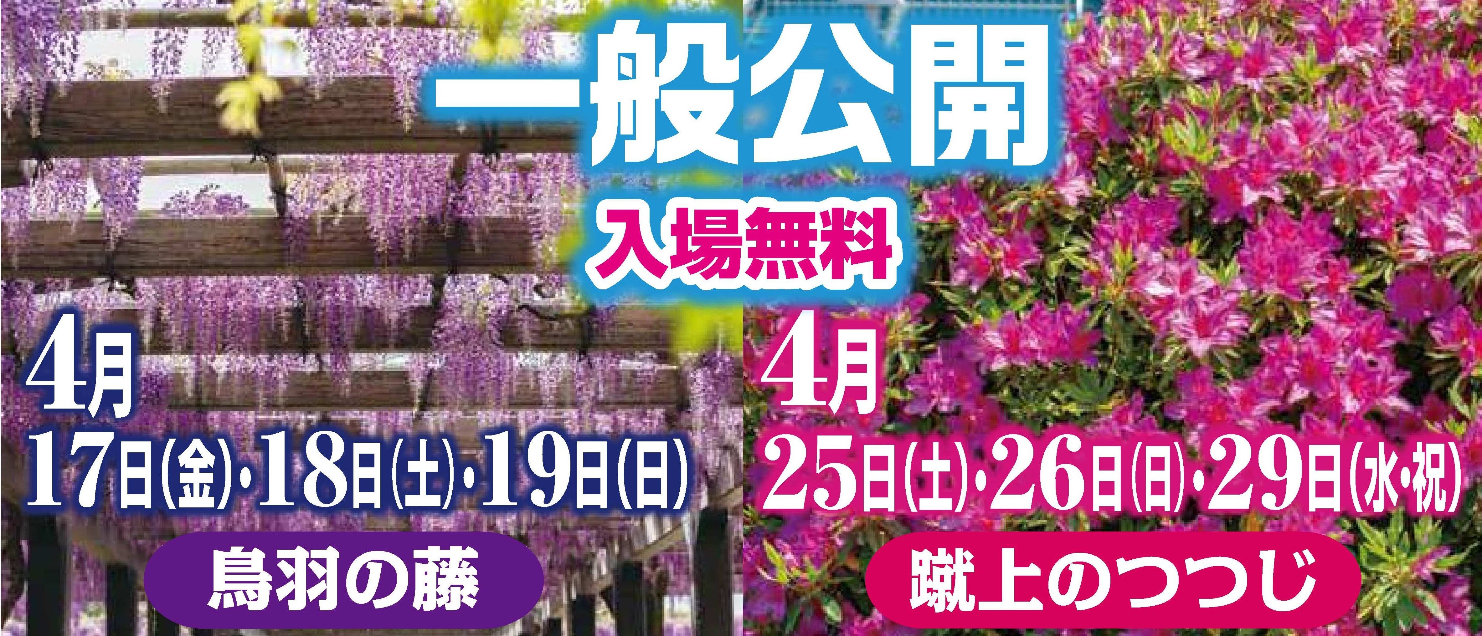 令和8年度一般公開