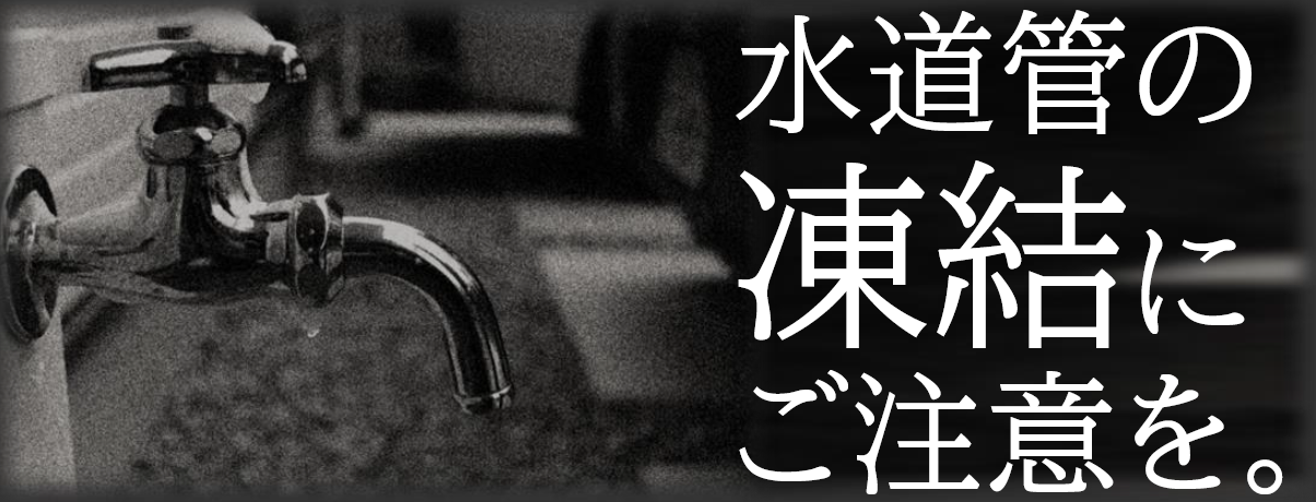 コロナ