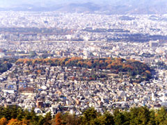 吉田山特別緑地保全地区
