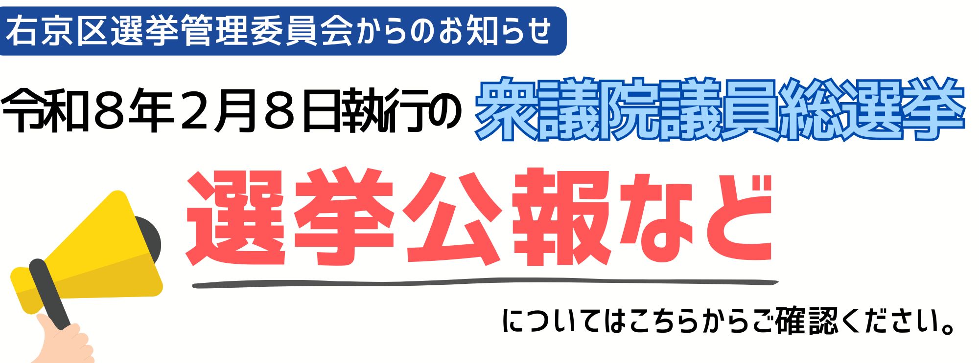衆議院議員総選挙の選挙公報について