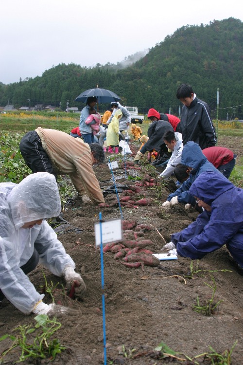 収穫祭のようす