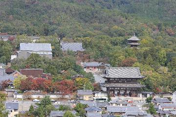佳作「秋めく仁和寺」