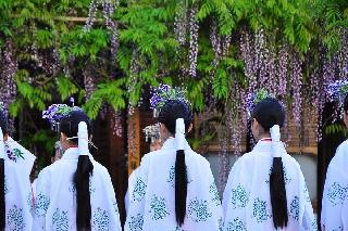佳作「京の藤花祭」