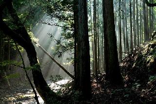 審査員賞「目覚める谷間」