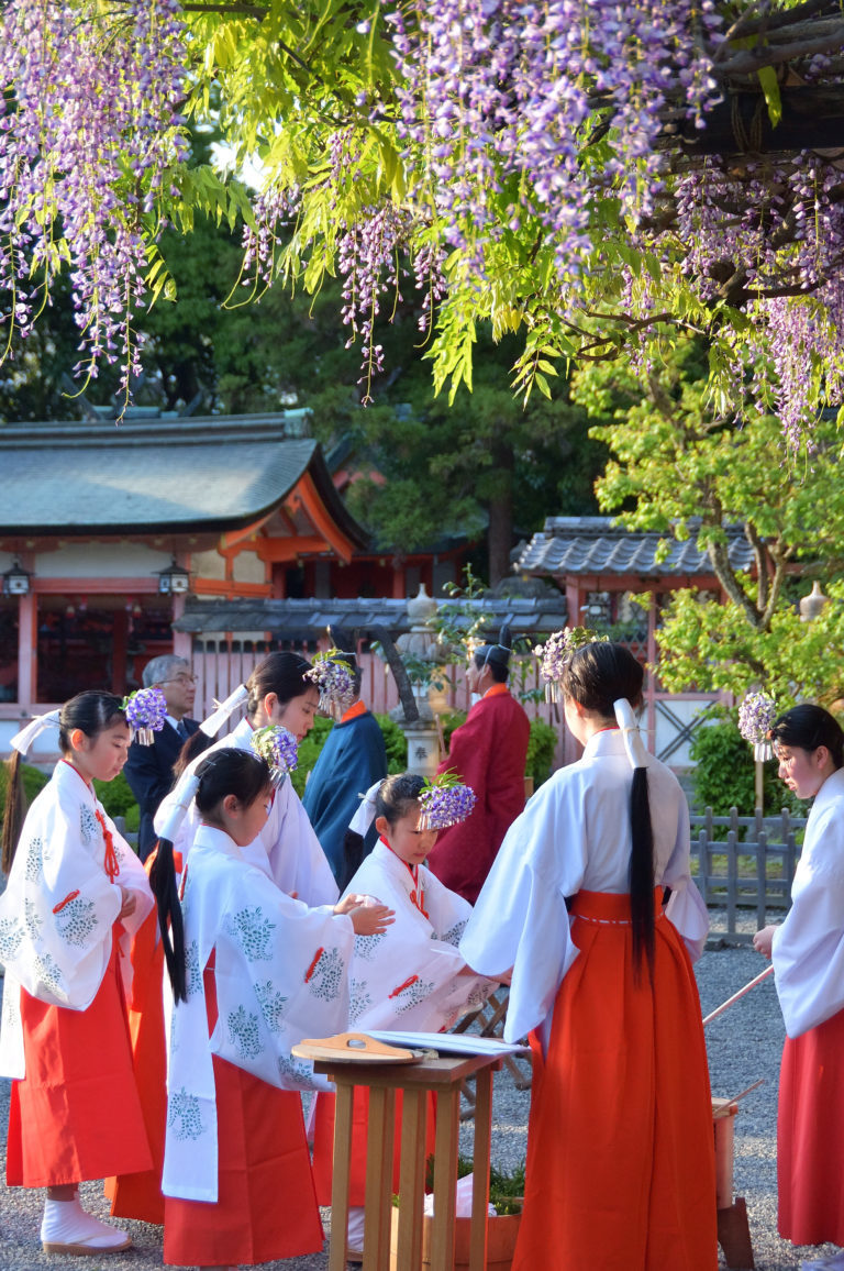 右京に息づく文化賞「清らかな気持ちで手水する可愛い巫女」