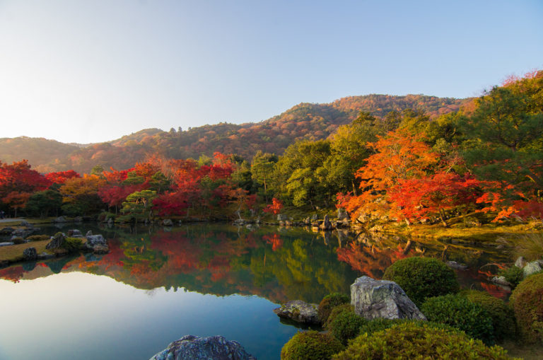 佳作「早朝の絶景」