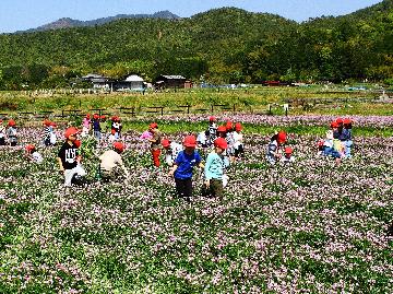 優秀賞「百年桜を見守る」