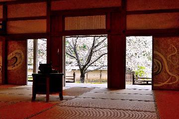 入選賞「禅と桜」