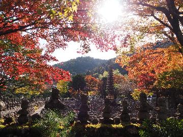 入選賞「金秋のあだし野」